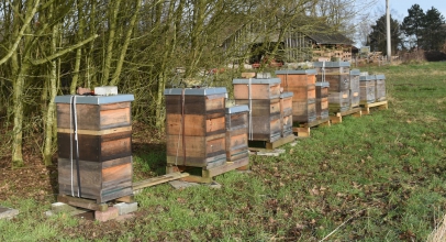 Bienen und Bäumchen umgezogen