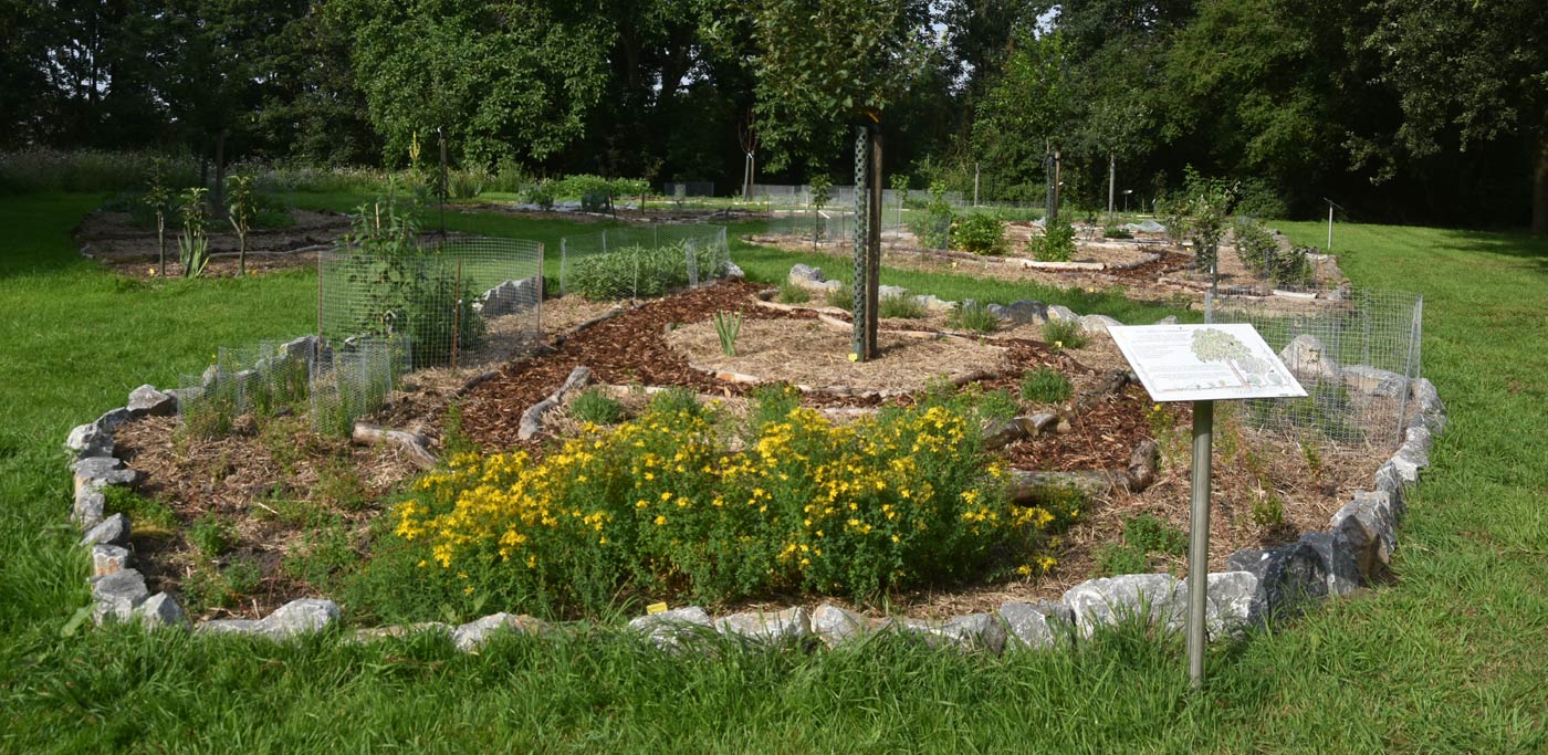 Laakenhof: Permakultur Waldgarten Führung mit C. Kalkhoff