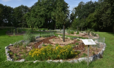 Führungen durch den Permakultur Waldgarten