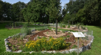 Führungen durch den Permakultur Waldgarten