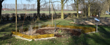 Beeteinfassung im Permakultur Waldgarten