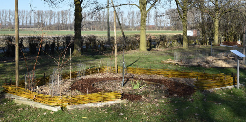 Beeteinfassung im Permakultur Waldgarten