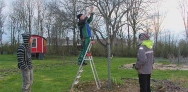 Obstbaumschnitt auf dem Laakenhof