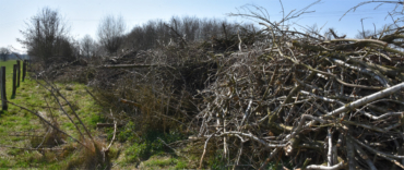 Vogelartenreichtum auf dem Laakenhof