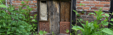 Hummelkisten & Insektenhotel aufgestellt