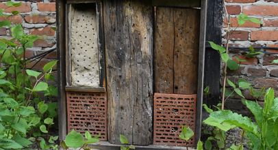 Hummelkisten & Insektenhotel aufgestellt