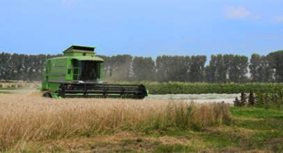 Getreideernte auf dem Laakenhof eingebracht