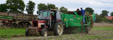 Kartoffeln mit neuem Roder ausgemacht