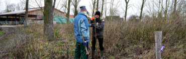 10 Obstbäume am Laakenhof gepflanzt