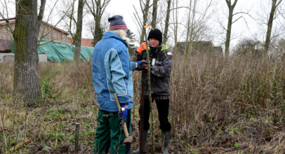 10 Obstbäume am Laakenhof gepflanzt