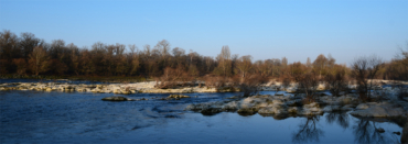 Urlaubsreise zu den Rheinauen