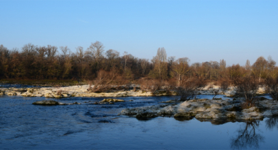 Urlaubsreise zu den Rheinauen