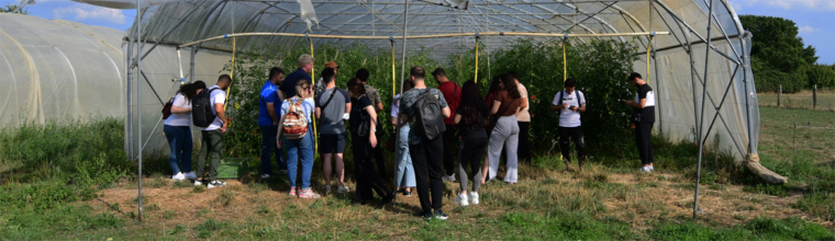 Irakische Studenten*innen auf dem Laakenhof