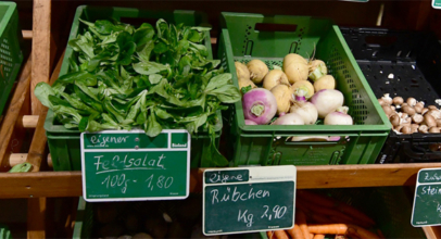 Feldsalat, Rübchen & Wintergemüse