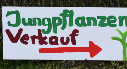 Jungpflanzen Verkauf vor dem Hofladen