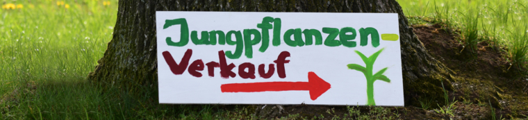 Jungpflanzen Verkauf vor dem Hofladen