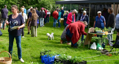 Jungpflanzenmarkt gut besucht