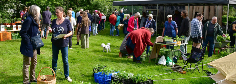 Jungpflanzenmarkt gut besucht