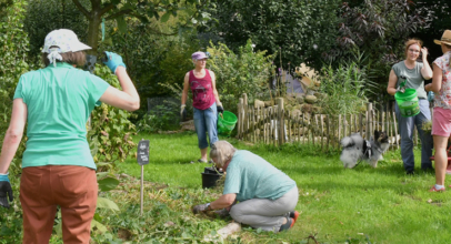 Teamarbeit im Permakultur Garten