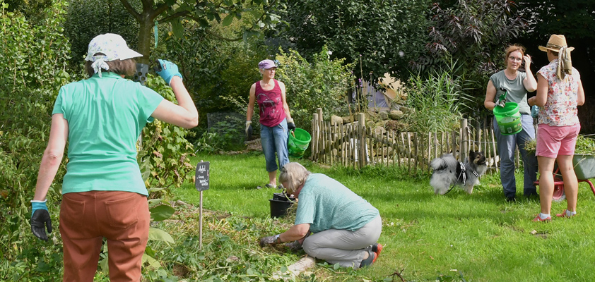 Teamarbeit im Permakultur Garten