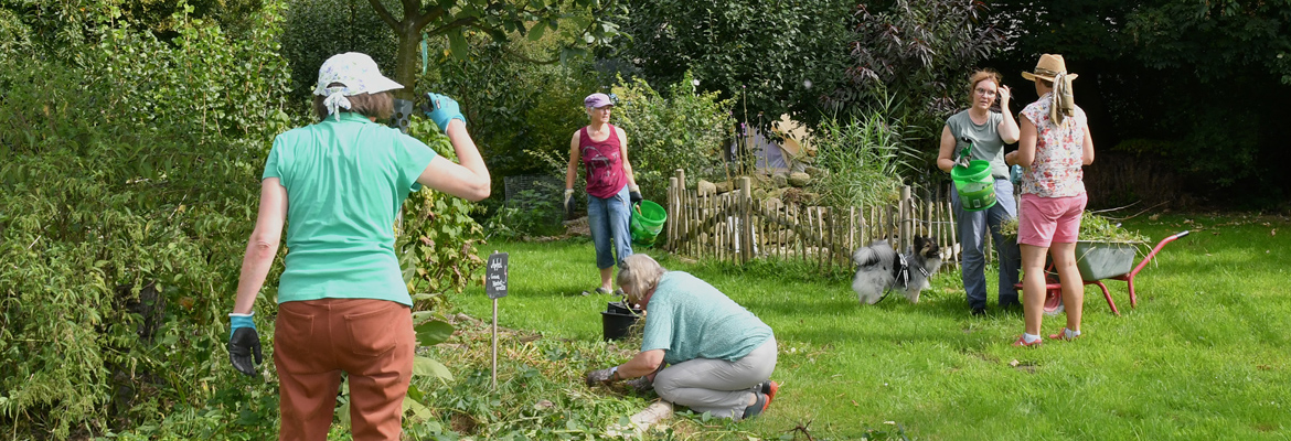 Teamarbeit im Permakultur Garten