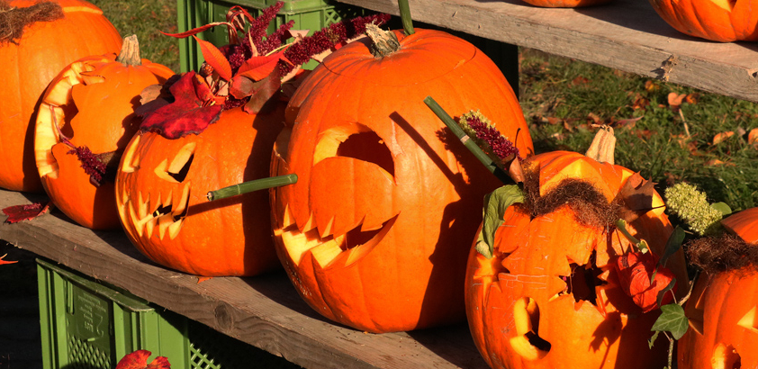 Kürbisschnitzen passend zu Halloween