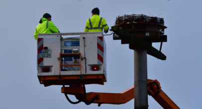 Storchennest mit Hubsteiger aufgestellt