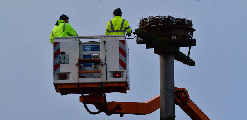 Storchennest mit Hubsteiger aufgestellt