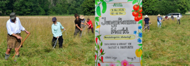 Jungpflanzenmarkt und Sensenlehrgang geplant