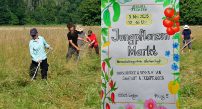 Jungpflanzenmarkt und Sensenlehrgang geplant