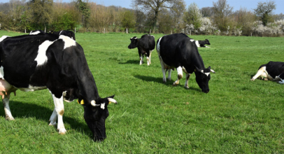 Klima & Landwirtschaft – wie geht das zusammen?
