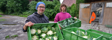Pflanzen – Ernten – Pflanzen – Ernten