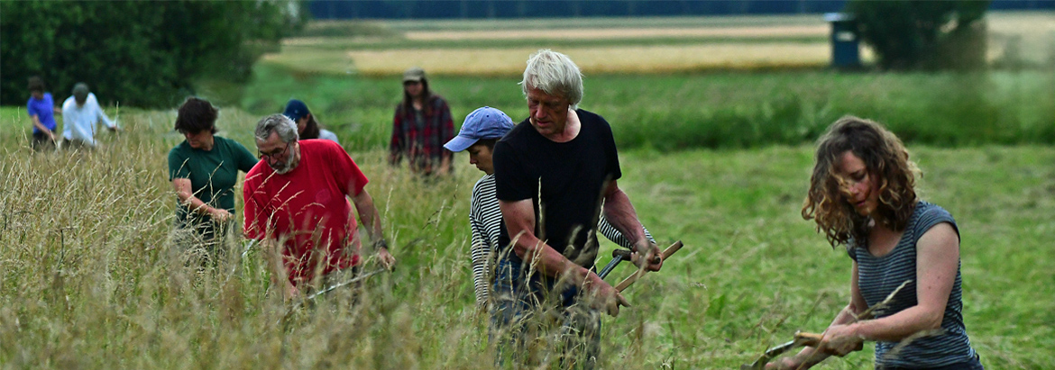 Sensenlehrgang und Sensenmahd