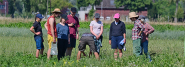 Klimaschutz-Aktivist*innen auf dem Laakenhof