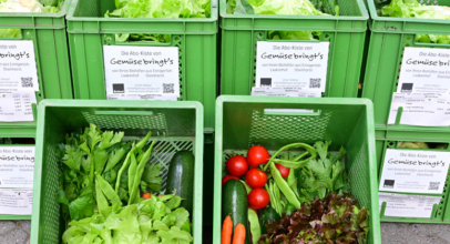 Gemüse-bringt´s Abo-Kiste für Everswinkel