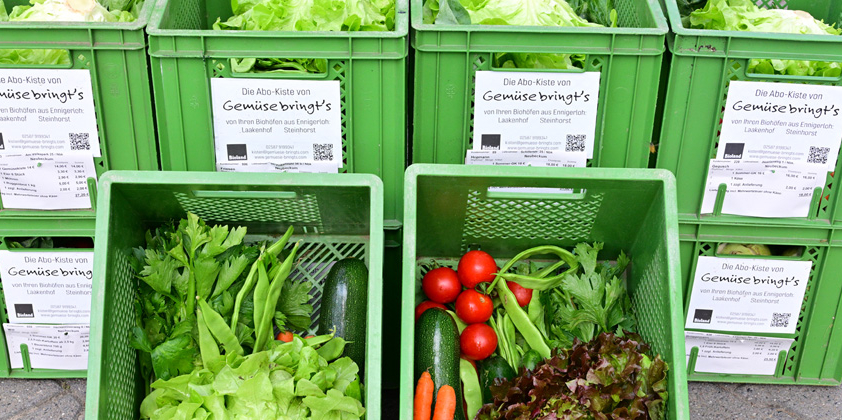 Gemüse-bringt´s Abo-Kiste für Everswinkel
