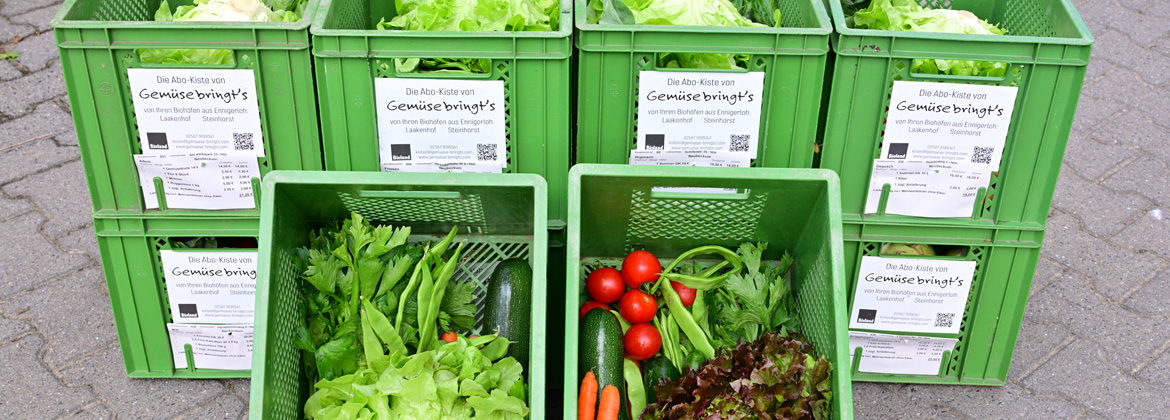 Gemüse-bringt´s Abo-Kiste für Everswinkel