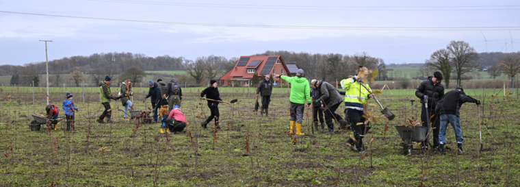 Bürgerwald in Ennigerloh weiter bepflanzt