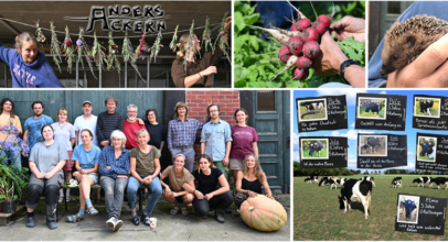 Rückblick auf Aktivitäten im Jahr 2025