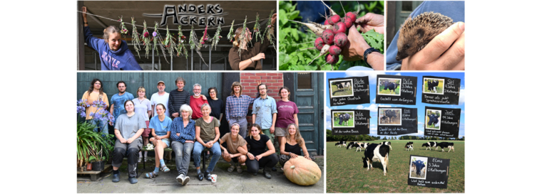 Rückblick auf Aktivitäten im Jahr 2025