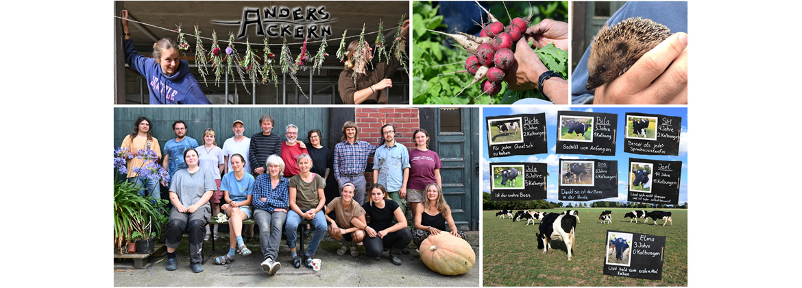 Rückblick auf Aktivitäten im Jahr 2025