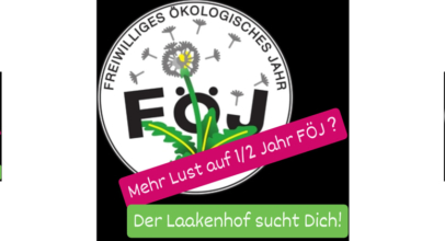 Freiwilliges Ökologisches „halbes“ Jahr