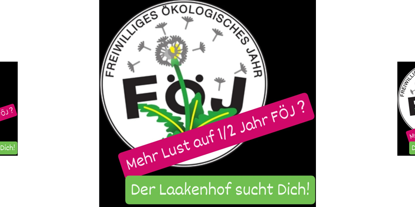 Freiwilliges Ökologisches „halbes“ Jahr