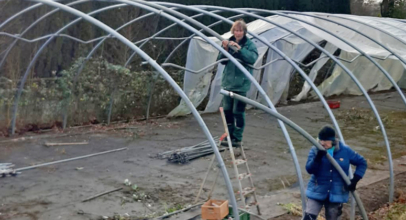 Gebrauchten Folientunnel erworben