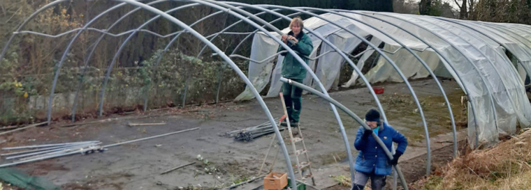 Gebrauchten Folientunnel erworben
