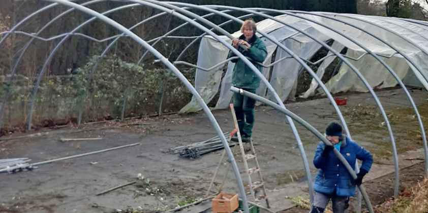 Gebrauchten Folientunnel erworben