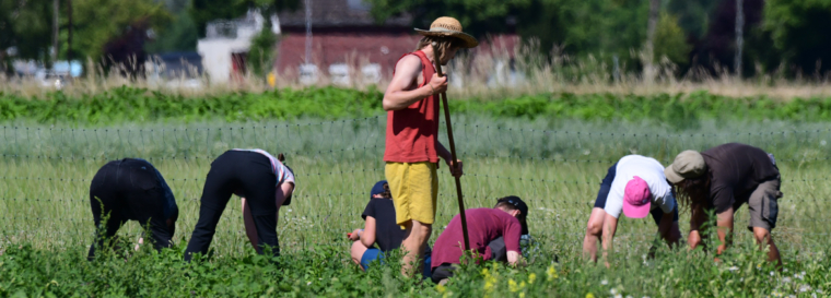 Azubi Emil berichtet über Ausbildungsseminare