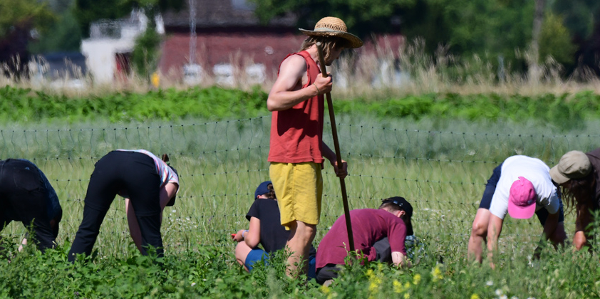Azubi Emil berichtet über Ausbildungsseminare