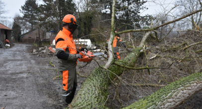 Mitmachaktion Holzwoche – Hilfeaufruf