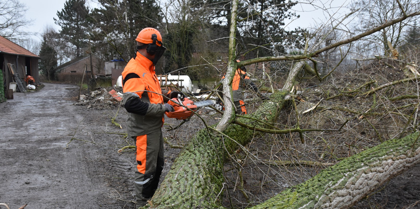 Mitmachaktion Holzwoche – Hilfeaufruf